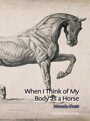 cover image of When I Think of My Body as a Horse